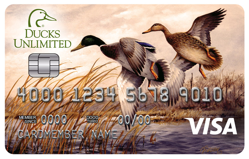 ducks-unlimited-mallard-card-800.jpg